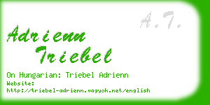 adrienn triebel business card